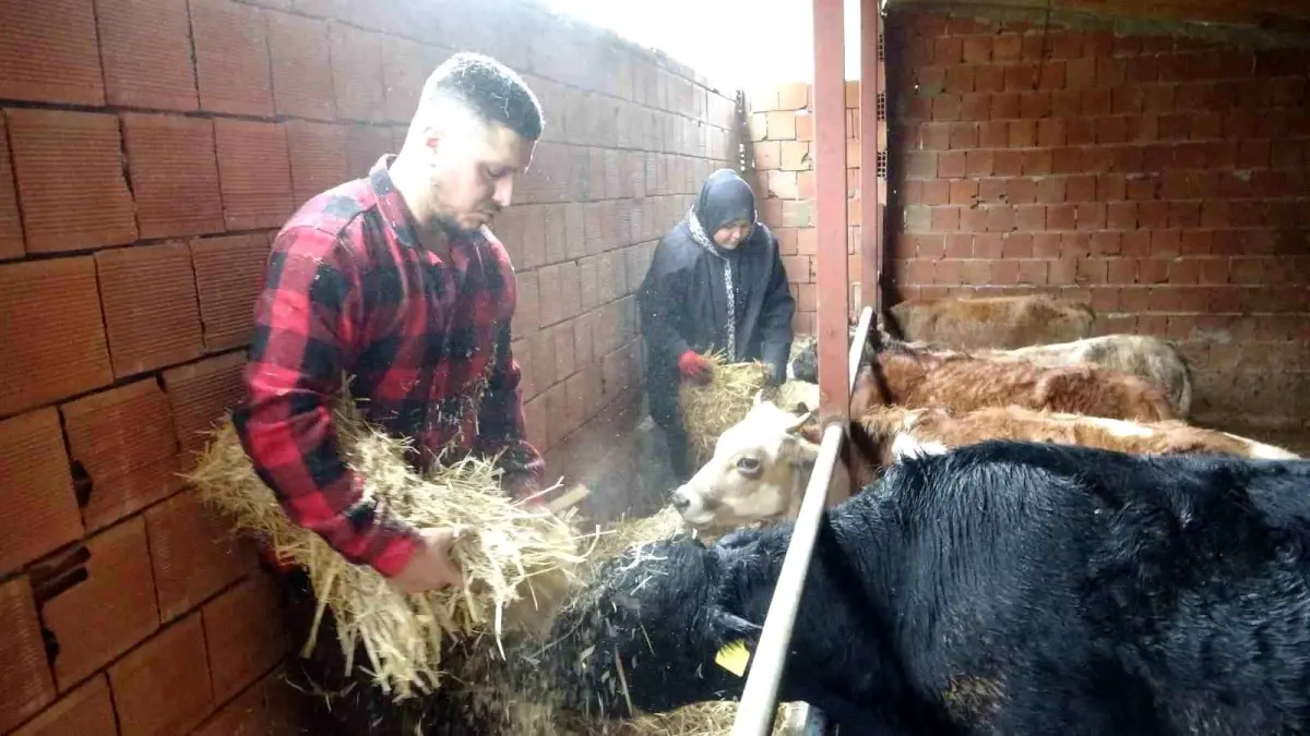 Almanya\'dan Köyüne Dönen Girişimci