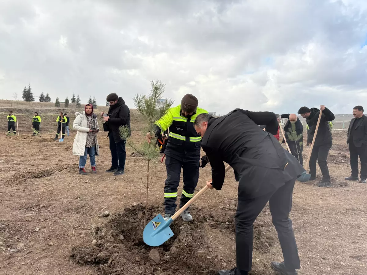 AK Parti Türk Dünyası Hatıra Ormanı\'nda 2 bin 40 fidan dikildi