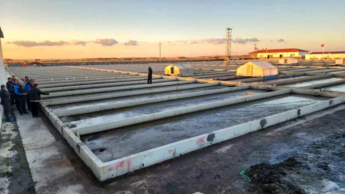 Çanakkale\'de Eşsiz Deniz Solucanı Tesisine Ziyaret