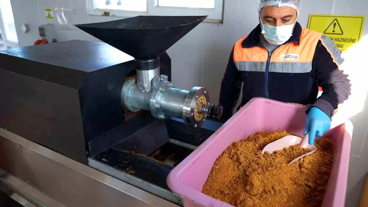 Didim\'de her geri dönüşüm, can dostlara umut olacak