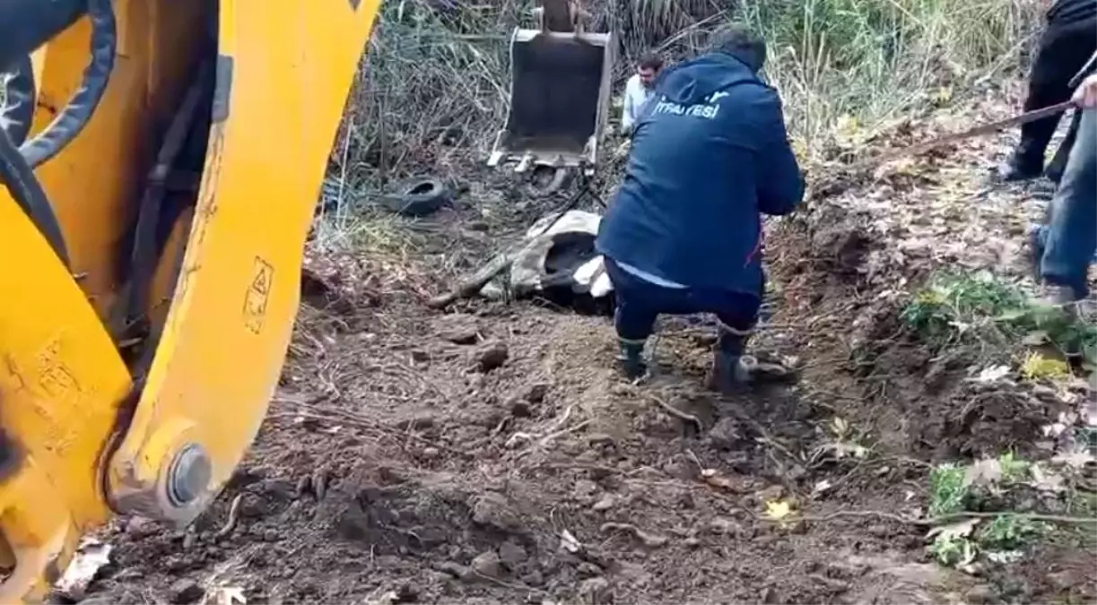 Hatay\'da dereye düşen inek itfaiye ekipleri tarafından kurtarıldı