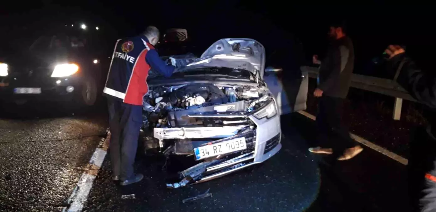 Mardin\'de Otomobil Ata Çarptı, At Telef Oldu