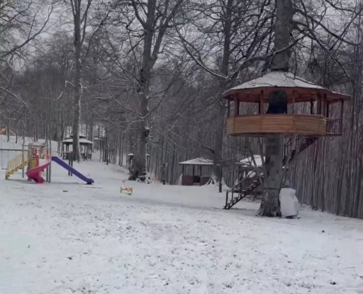 Ordu\'da Kar Yağışı