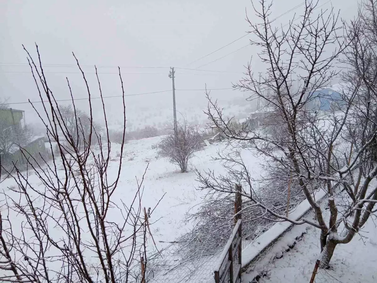 Posof\'ta kar yağışı etkili oluyor