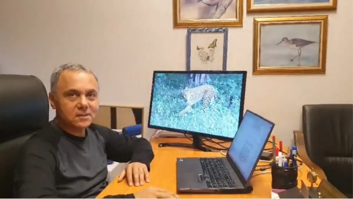 Ağaçtaki Anadolu Parsı değilmiş! Gerçek sonradan ortaya çıktı