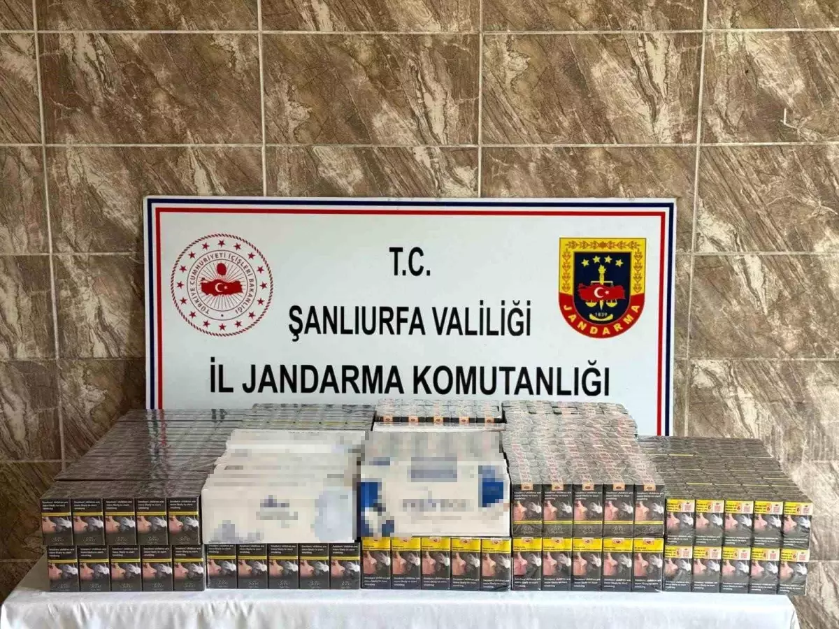 Şanlıurfa\'da 8 Bin Paket Kaçak Sigara Ele Geçirildi