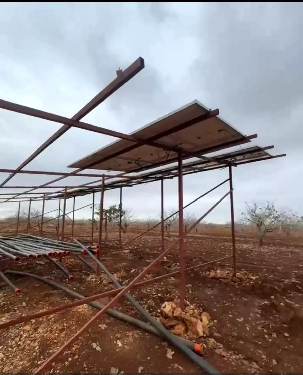 Bozova\'da Güneş Panelleri Çalındı