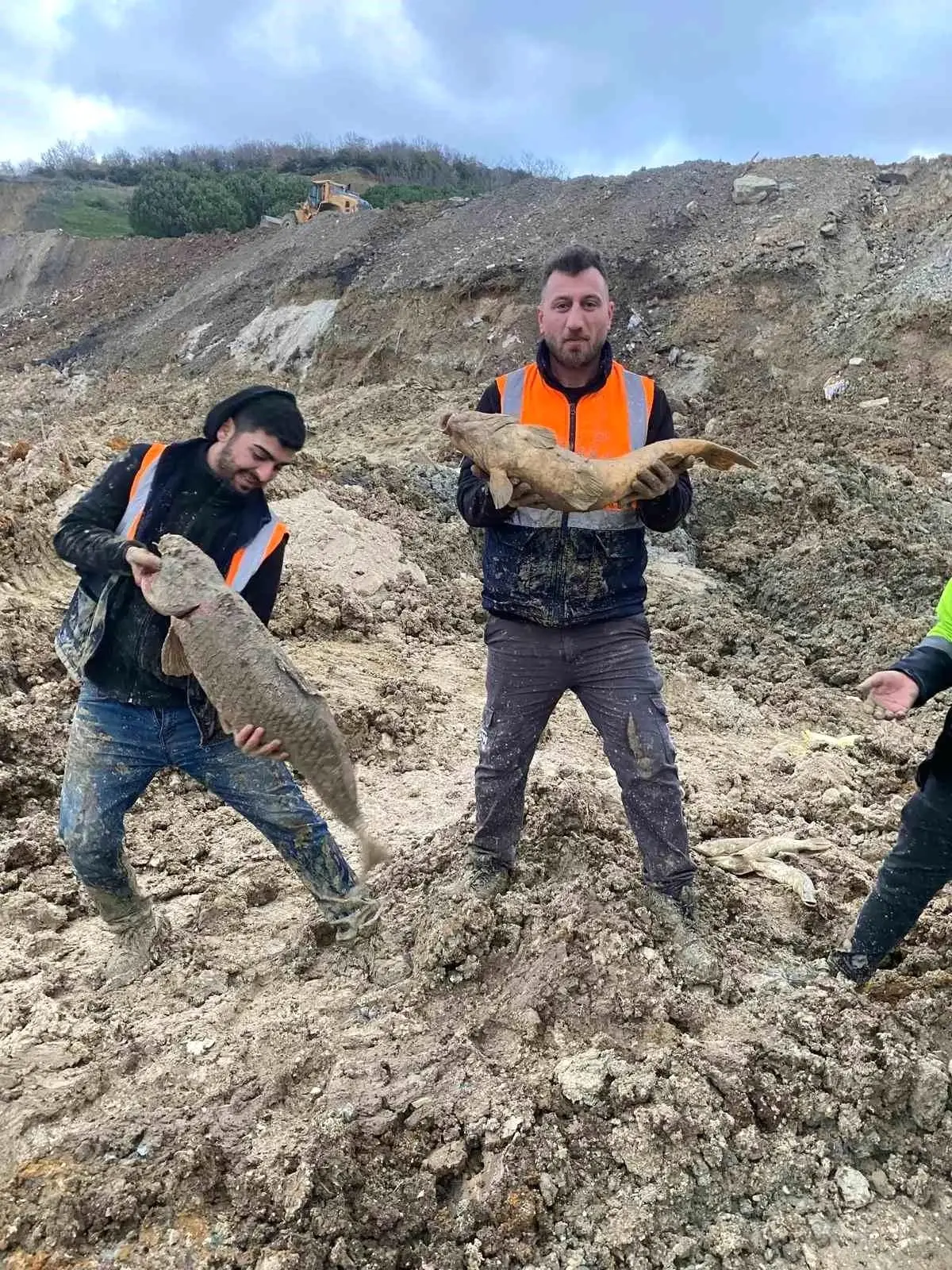 Arnavutköy\'de İBB\'nin döküm sahasına çevirdiği Mavi Göl\'de balıklar can çekişiyor