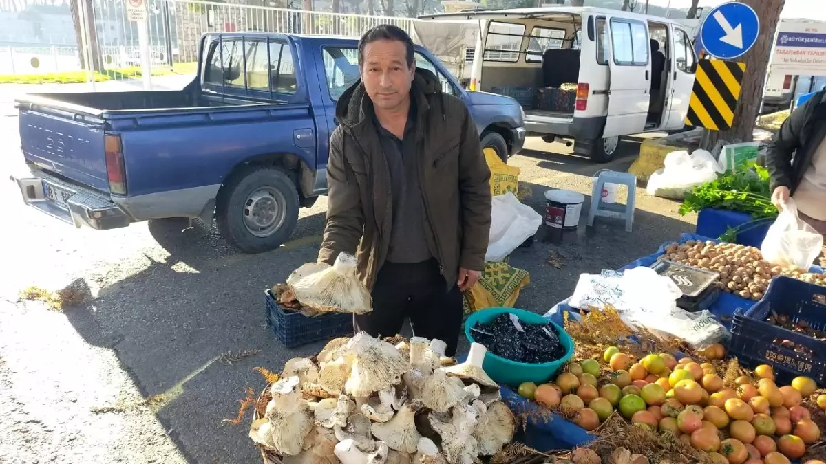 Bin 800 rakımlı yayladan toplayıp getiriyor, gören almadan geçmiyor