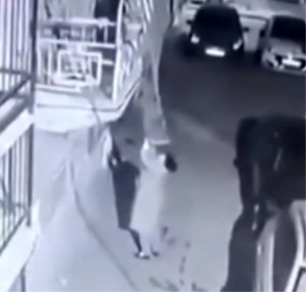 İzmir\'de Halı Hırsızlığı