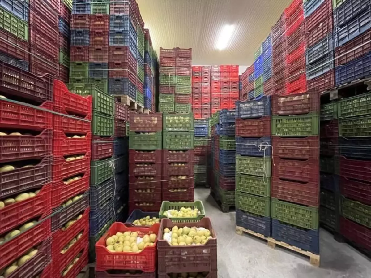 Soğuk Hava Deposu tam kapasite hizmet veriyor