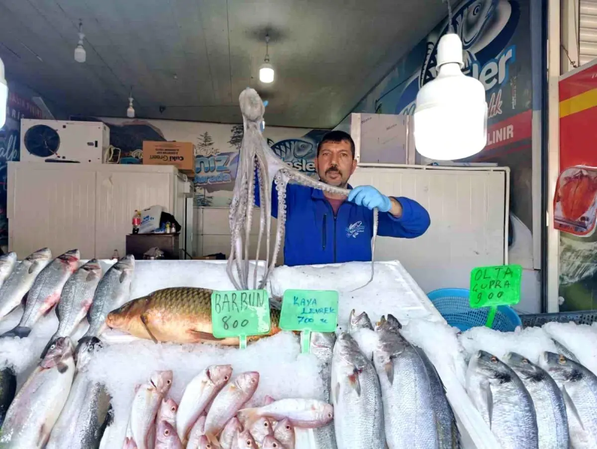 Kahramanmaraş\'ta Balık Talebi Artıyor