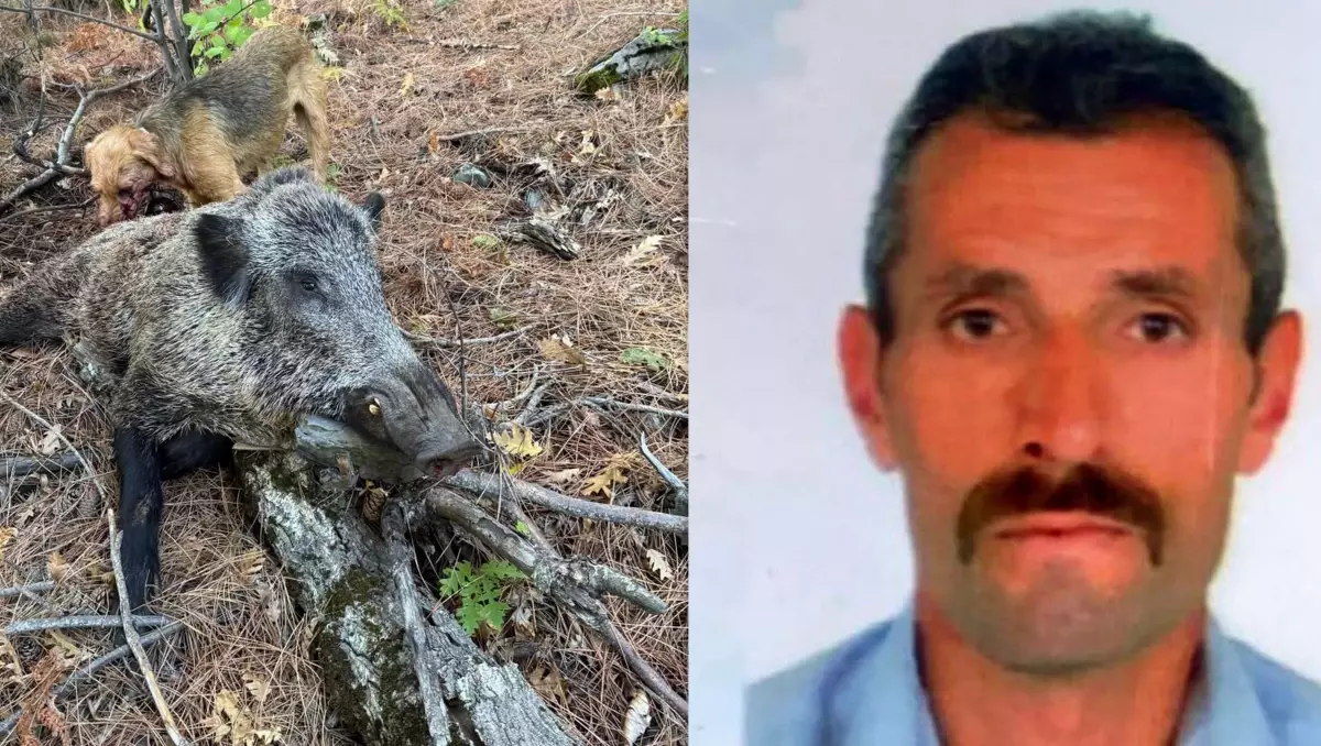 Kemah'ta Domuz Saldırısı: Avcı Hayatını Kaybetti