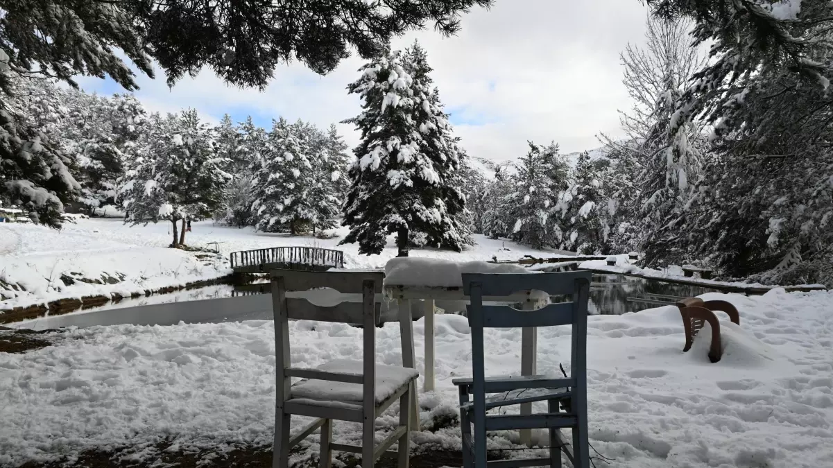 Gümüşhane Kent Ormanı\'nda Kış Işıltısı