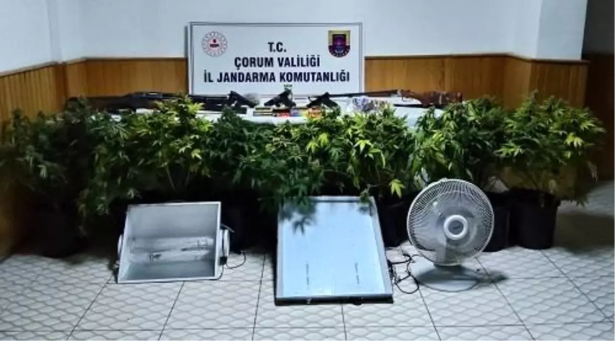 Çorum\'da Uyuşturucu Operasyonu