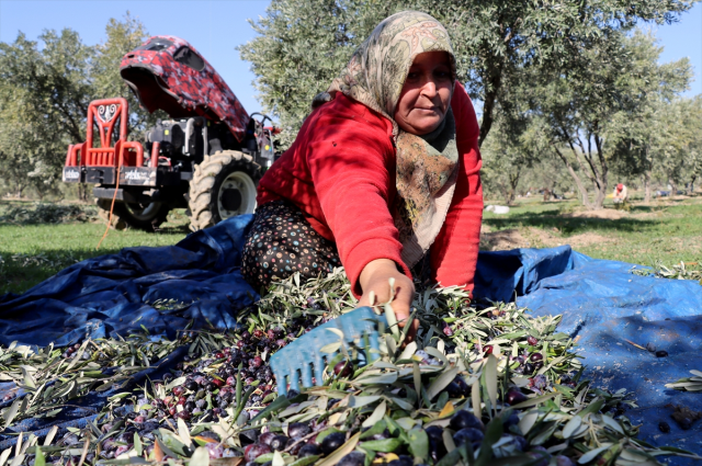 Muhtar fabrika kurup tüm mahalleyi işe aldı! Suudi Arabistan'a bile ihraç ediyor Muhtar fabrika kurup tüm mahalleyi işe aldı! Suudi Arabistan'a bile ihraç ediyor