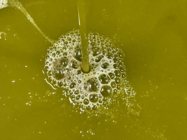 Muhtar fabrika kurup tüm mahalleyi işe aldı! Suudi Arabistan'a bile ihraç ediyor Muhtar fabrika kurup tüm mahalleyi işe aldı! Suudi Arabistan'a bile ihraç ediyor