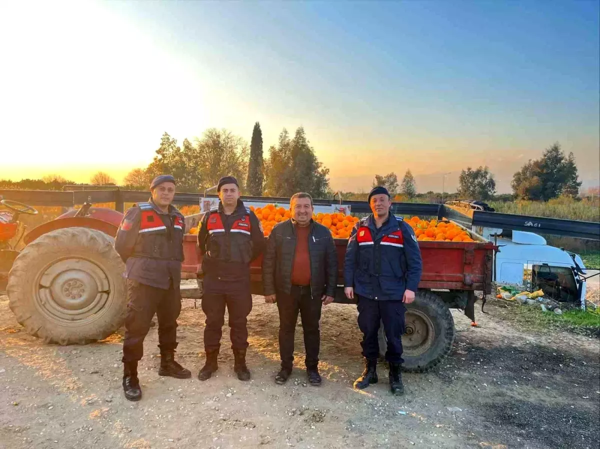Nazilli\'de Portakal Hırsızlığı Başarılı Operasyonla Önlenildi
