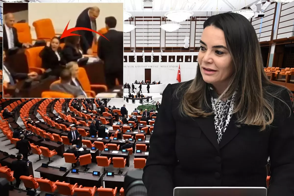 Türkeş\'in kızının Öcalan için söyledikleri Meclis\'i karıştırdı