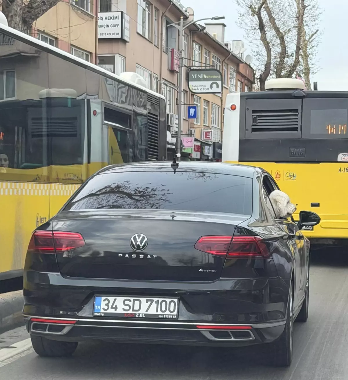 Üsküdar\'da yeni başkan eski başkanın makam aracını köpeğine tahsis etti iddiası