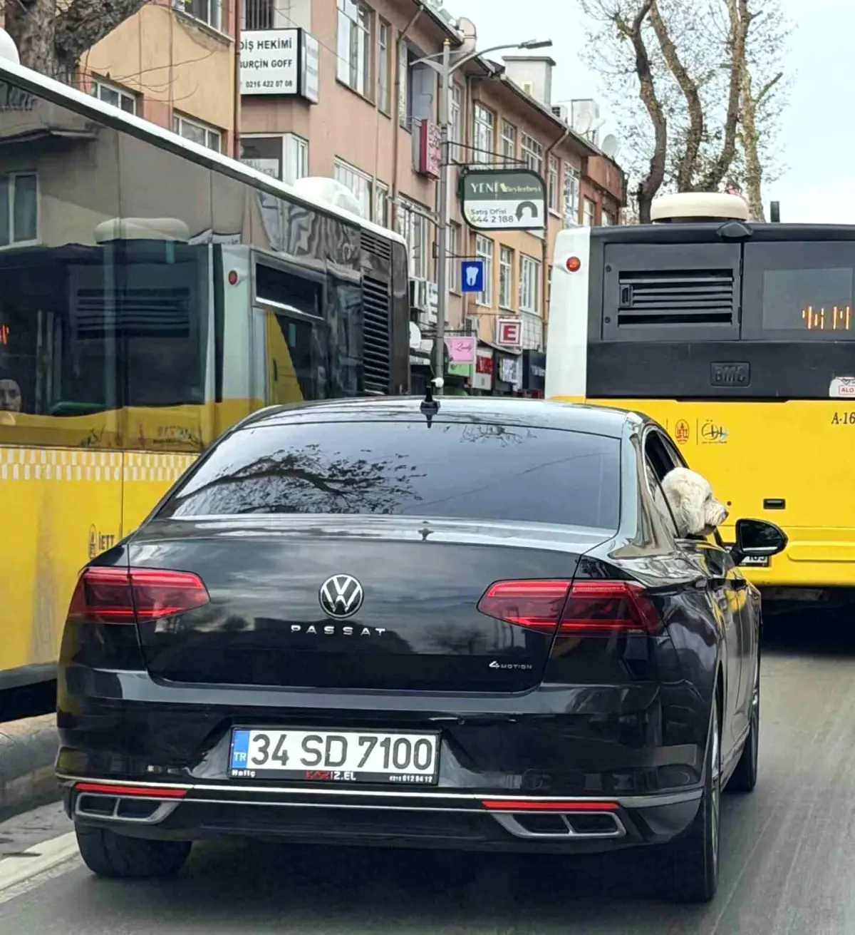 Üsküdar\'da yeni başkan eski başkanın makam aracını köpeğine tahsis etti iddiası