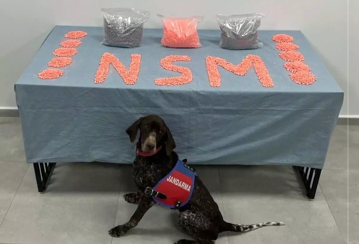 Denizli\'de Uyuşturucu Operasyonu: 28 Bin Hap Ele Geçirildi