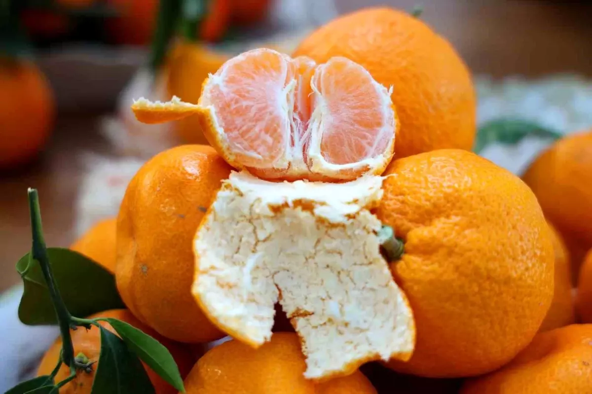 Dalında kalınca pazarın en ucuzu oldu! Gören almadan gitmiyor