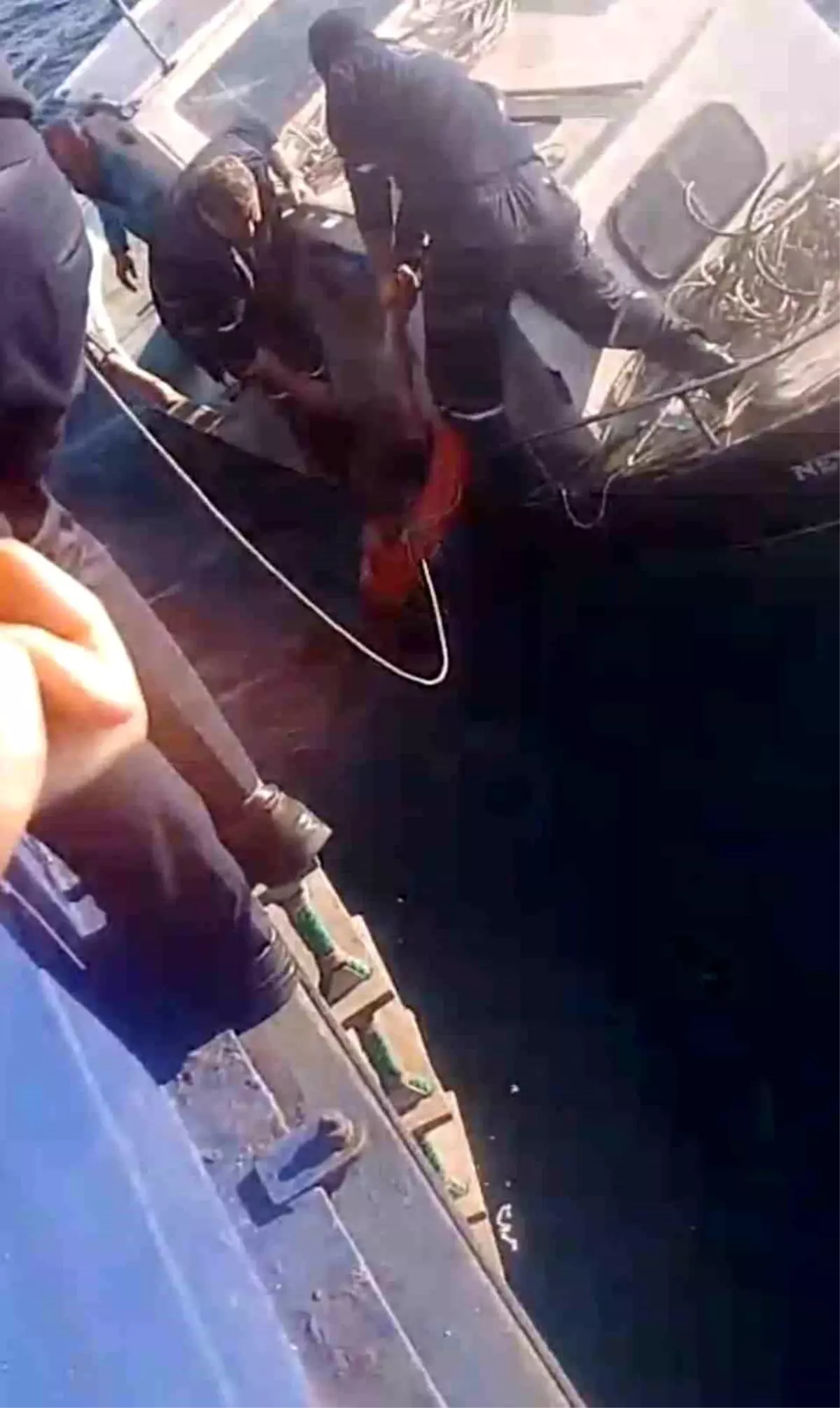 Bozcaada-Geyikli Feribotunda Denize Atlayan Kurtarıldı