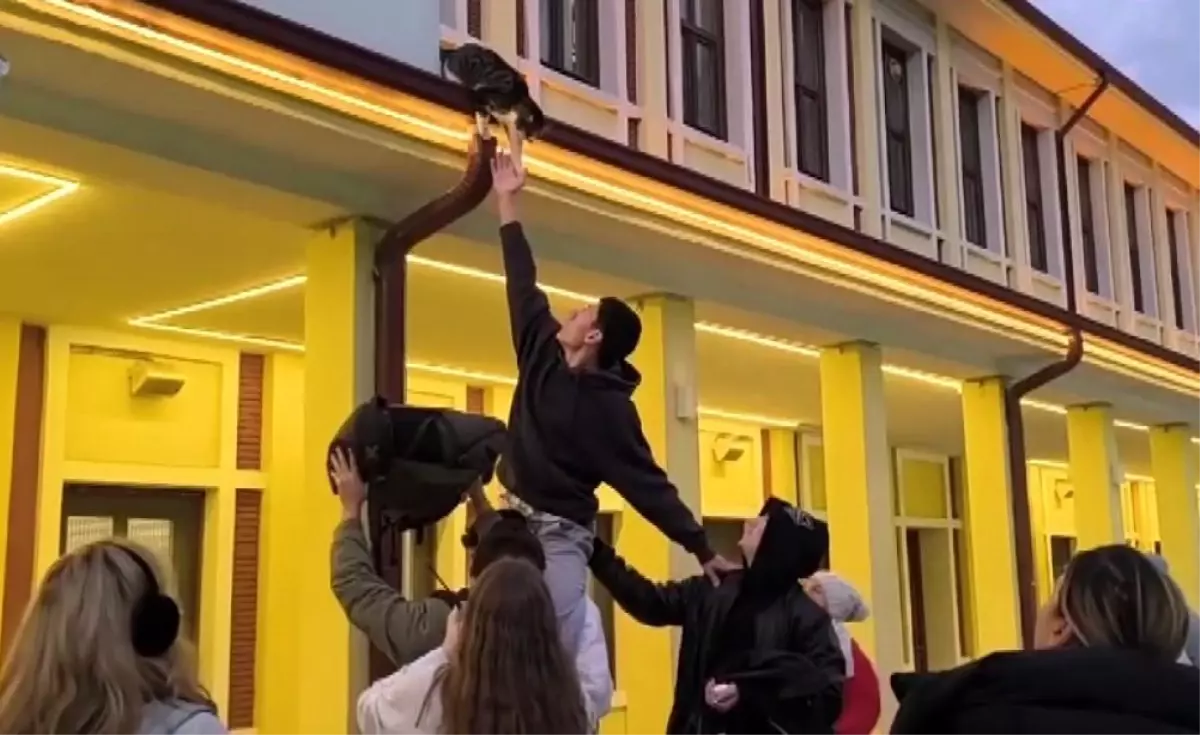 Eskişehir\'de Kedi Kurtarma Operasyonu