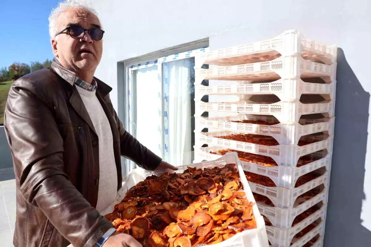 Kozan\'dan Almanya\'ya Cennet Hurması İhracı