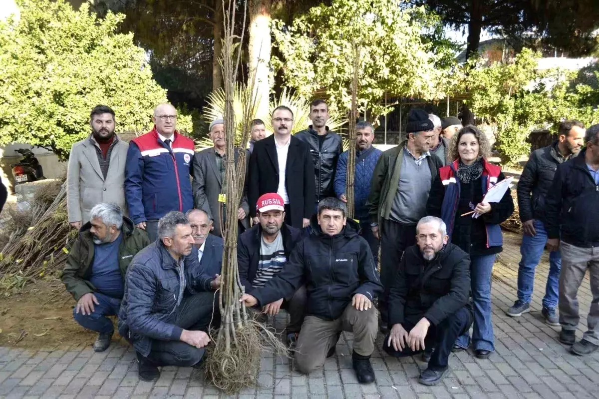 Sultanhisar\'da 9.500 Fidan Dağıtımı