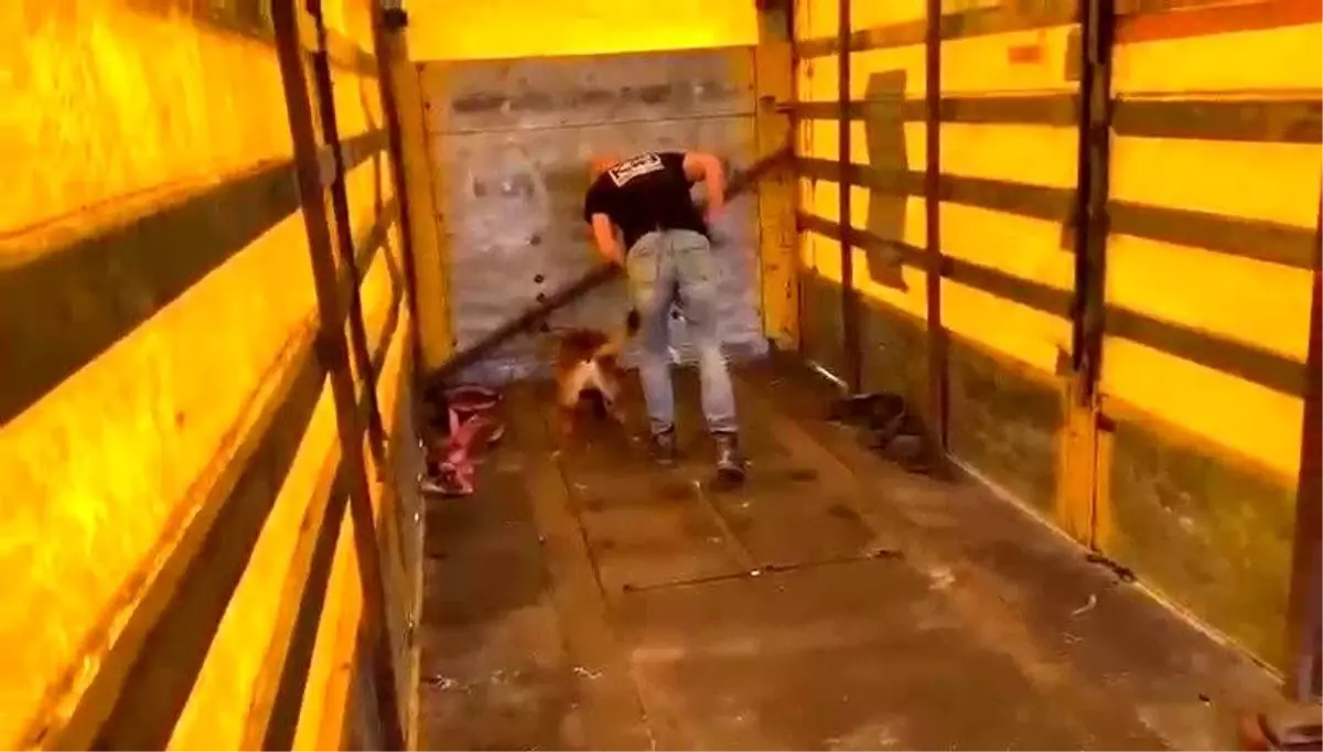 Hatay\'da 220 Bin Captagon Hap Ele Geçirildi