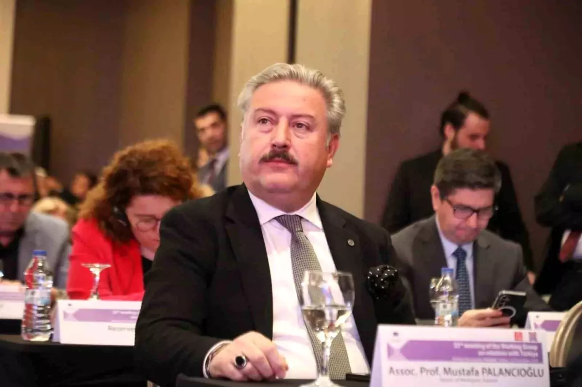 Başkan Palancıoğlu, Avrupa Birliği Toplantısı\'nda Türkiye\'nin haklarını savundu