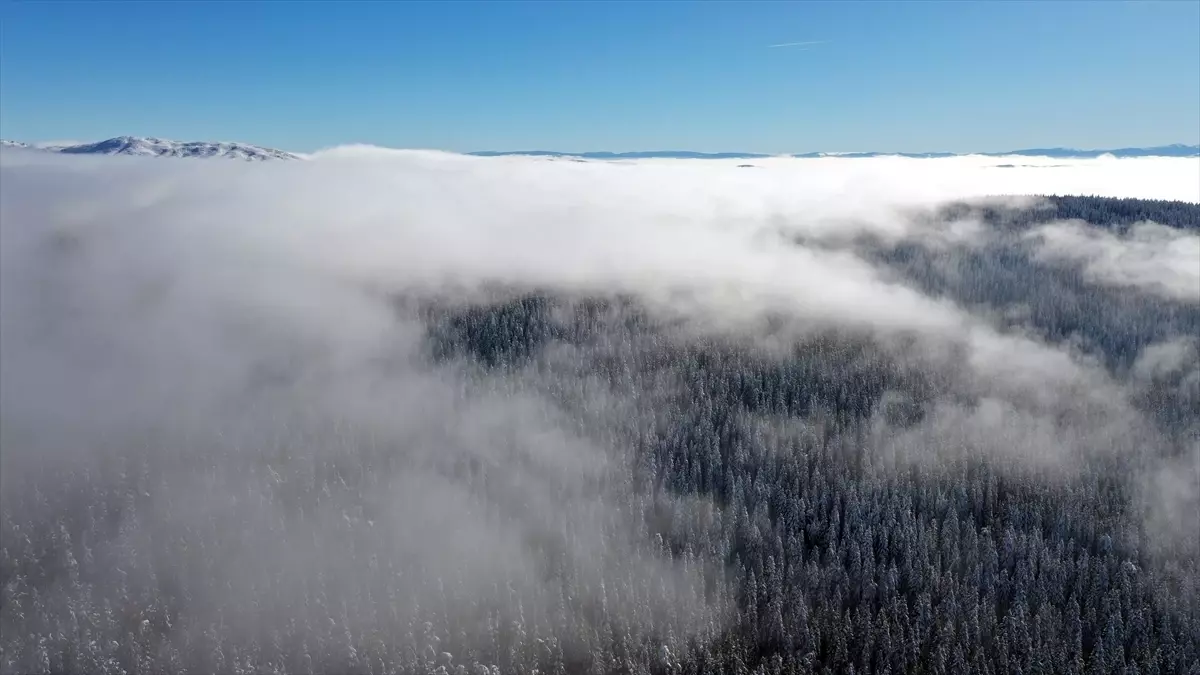 Küre Dağları\'nda Kış Manzarası