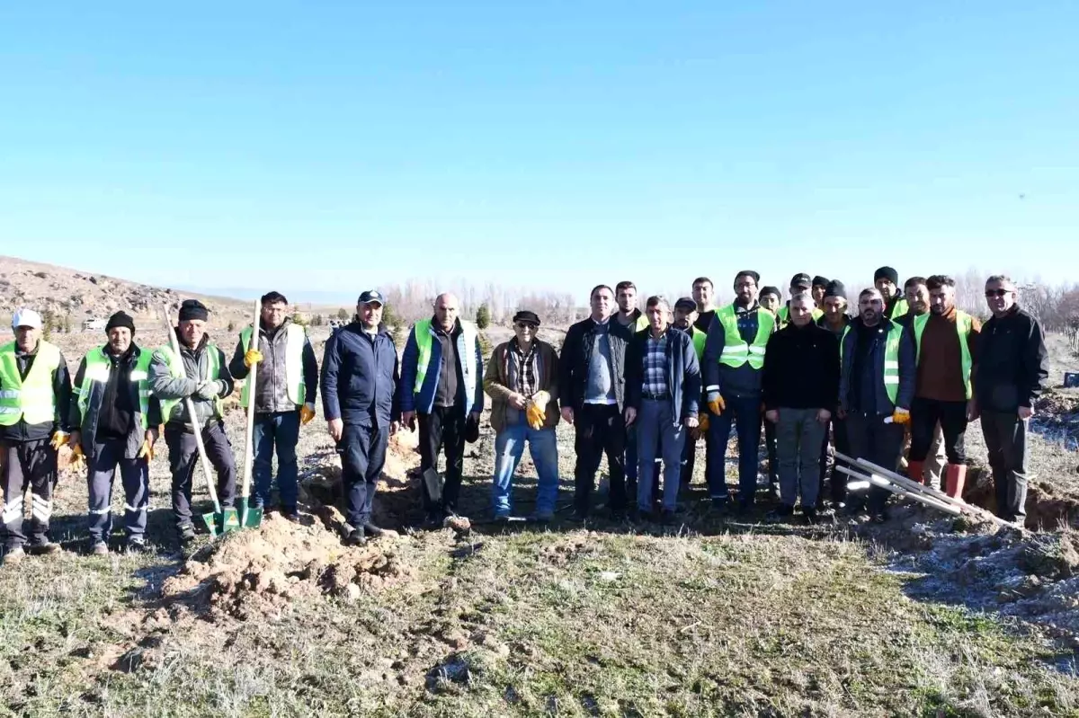 Beylikova Belediyesi bin adet karaçam fidanı dikti