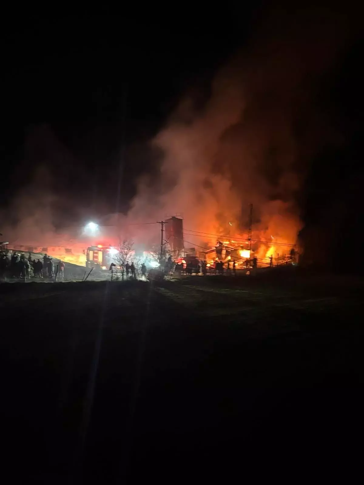 Mudurnu\'da Hindi Kümesinde Yangın