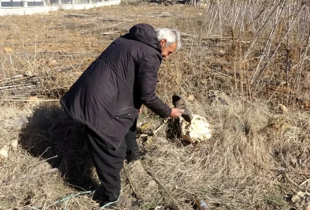 Nezaketle Alışveriş: Çorapla Markette!
