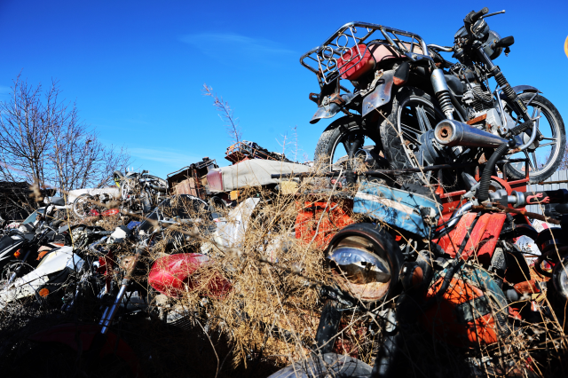 Elazığ'da yediemin otoparkında yosun tutan araçlar: 500 milyon TL'lik servet çürüyor Elazığ'da yediemin otoparkında yosun tutan araçlar: 500 milyon TL'lik servet çürüyor