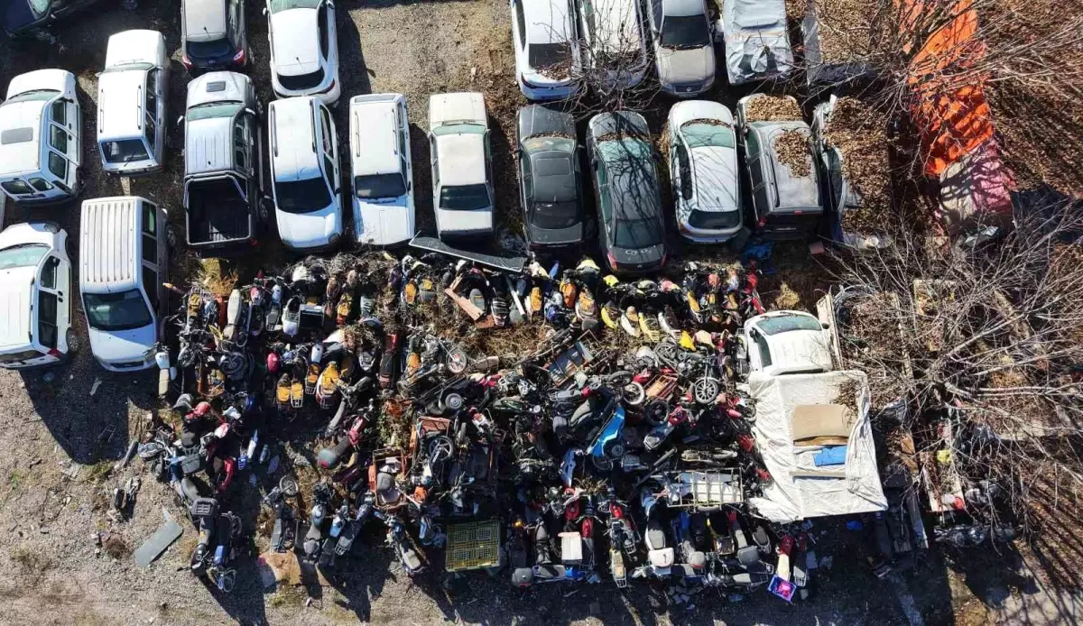 500 milyon TL\'lik servet kaderine terk edildi, lüks araçlar yosun tuttu