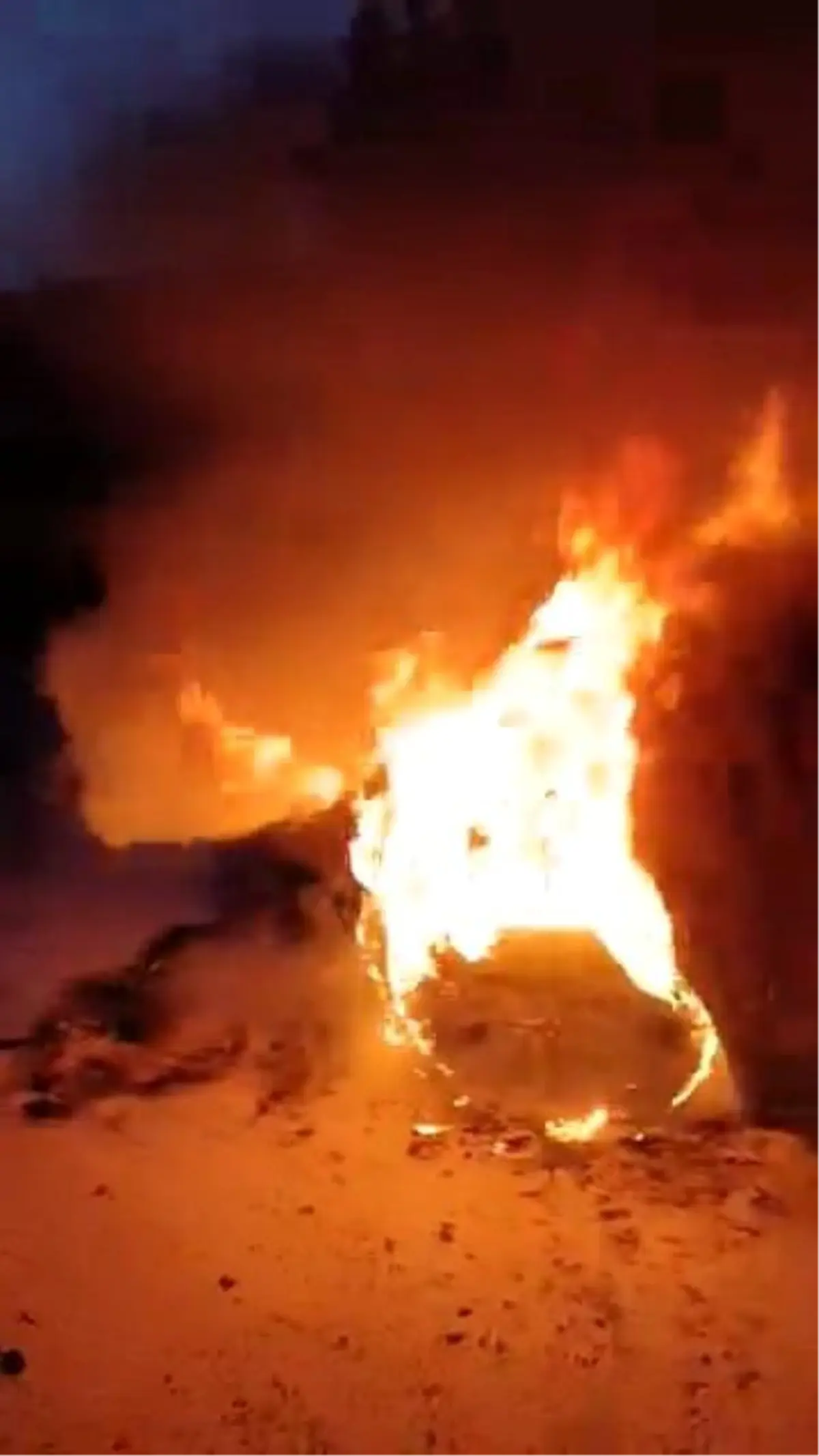 Bursa\'da Otomobil Alev Aldı