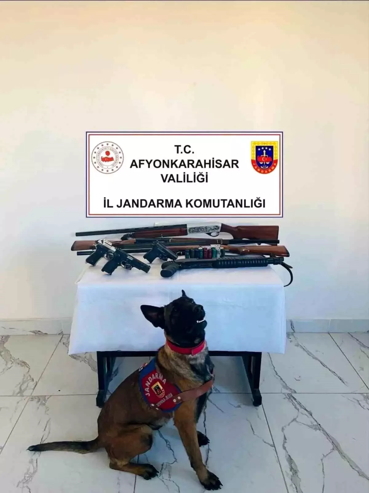 Afyonkarahisar\'da Silah Baskını: 7 Ruhsatsız Silah Ele Geçirildi