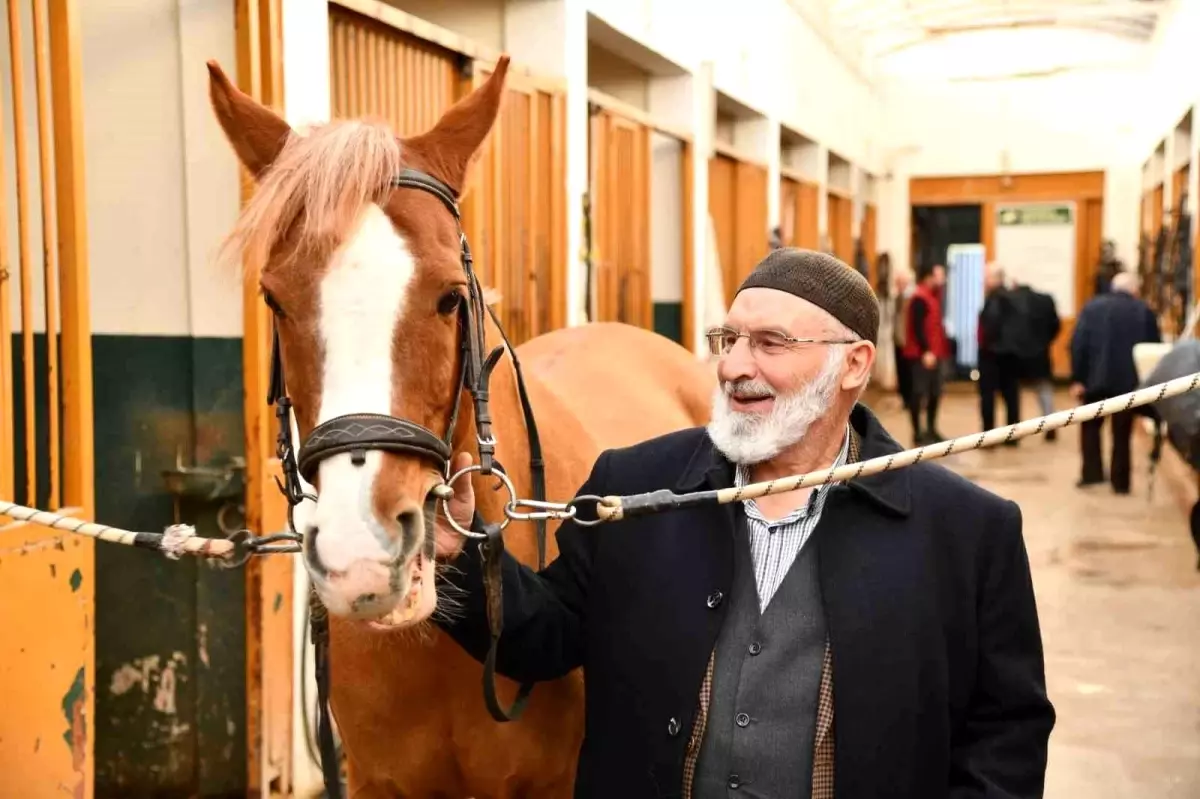 Samsun\'da 25 bin yaşlıya hizmet verildi