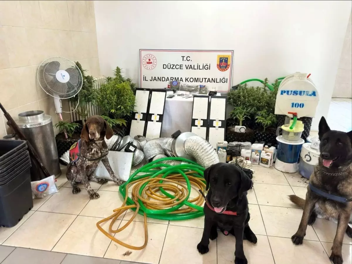 Düzce\'de Uyuşturucu Ticareti: 1 Gözaltı