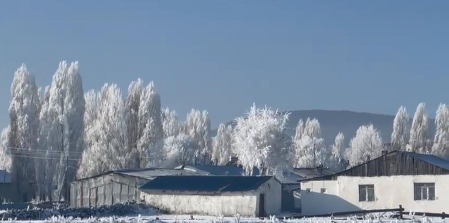Ardahan'ın Göle ilçesi, eksi 20'yi gördü; ağaçlar kırağı tuttu