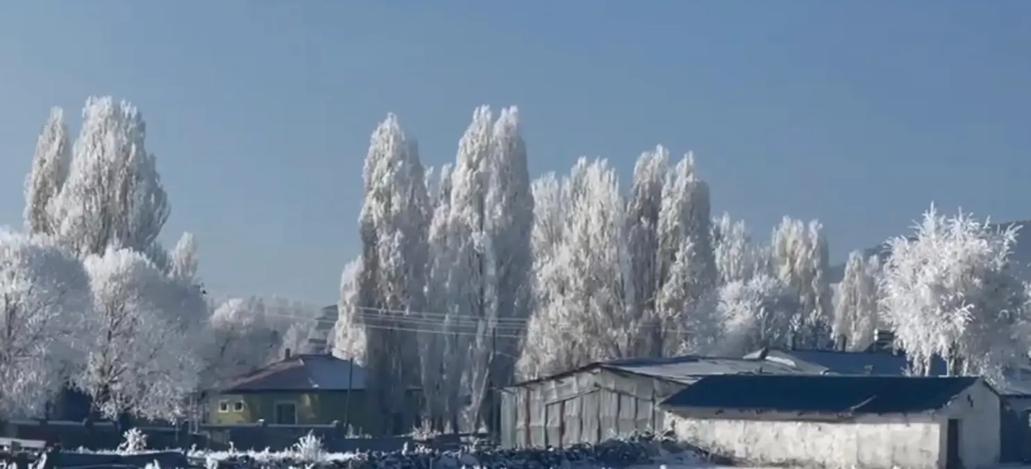 Ardahan'ın Göle ilçesi, eksi 20'yi gördü; ağaçlar kırağı tuttu