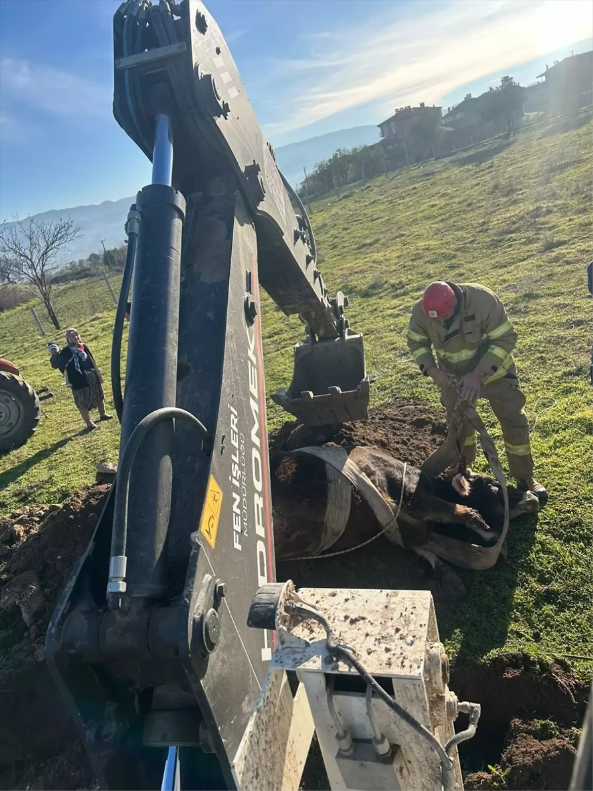 Kuyuya Düşen İnek Kurtarıldı