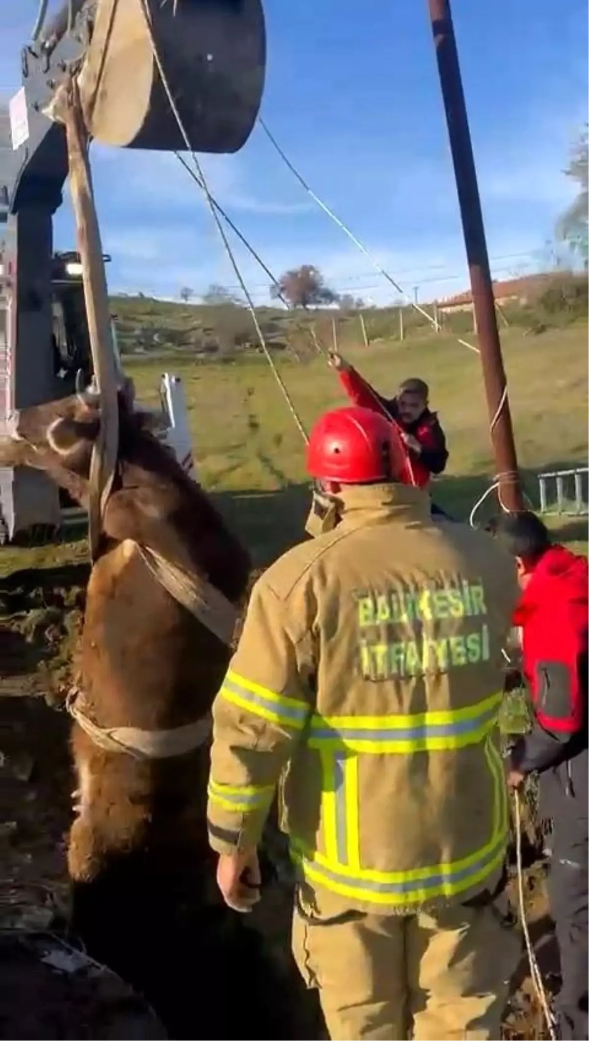 Balıkesir\'de kuyuya düşen inek kurtarıldı