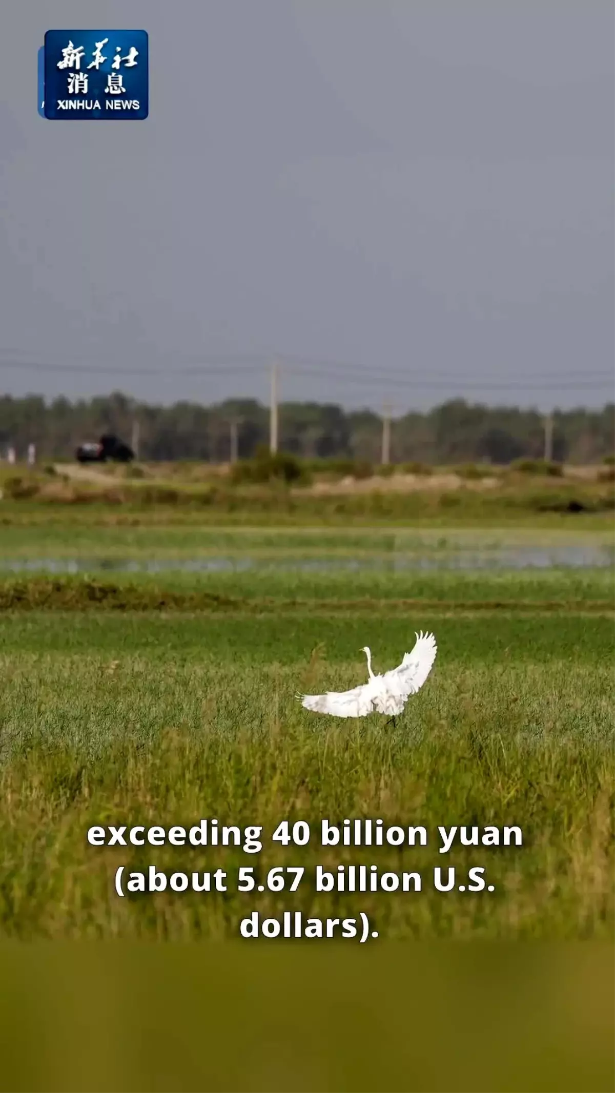 Xinjiang\'da Su Koruma Projeleri İçin Yatırım