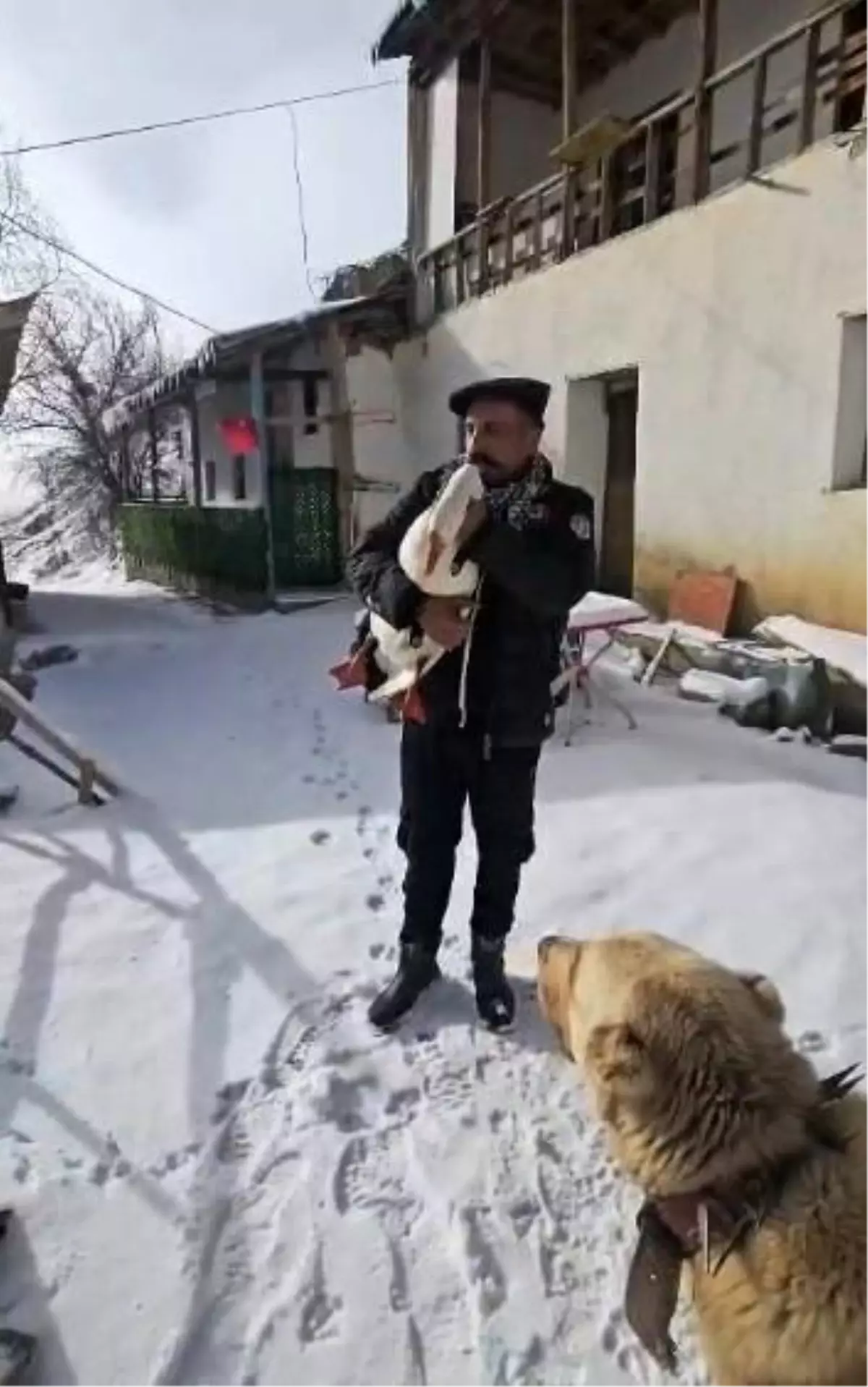 Kazdan Helallik İsteyen Baki Kaya