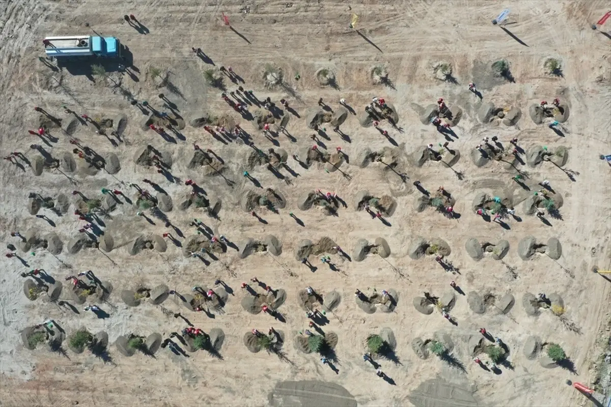 Kocasinan\'da 1 Milyon Ağaç Dikildi